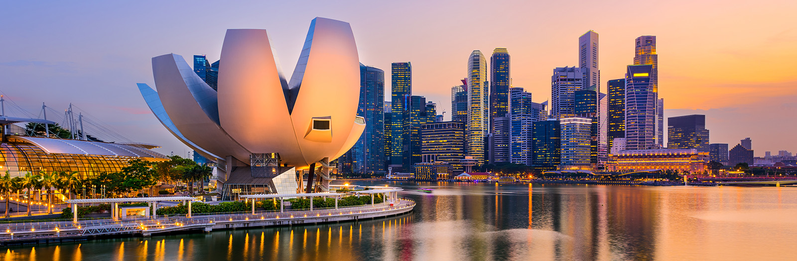 ArtScience Museum and Singapore Skyline at night